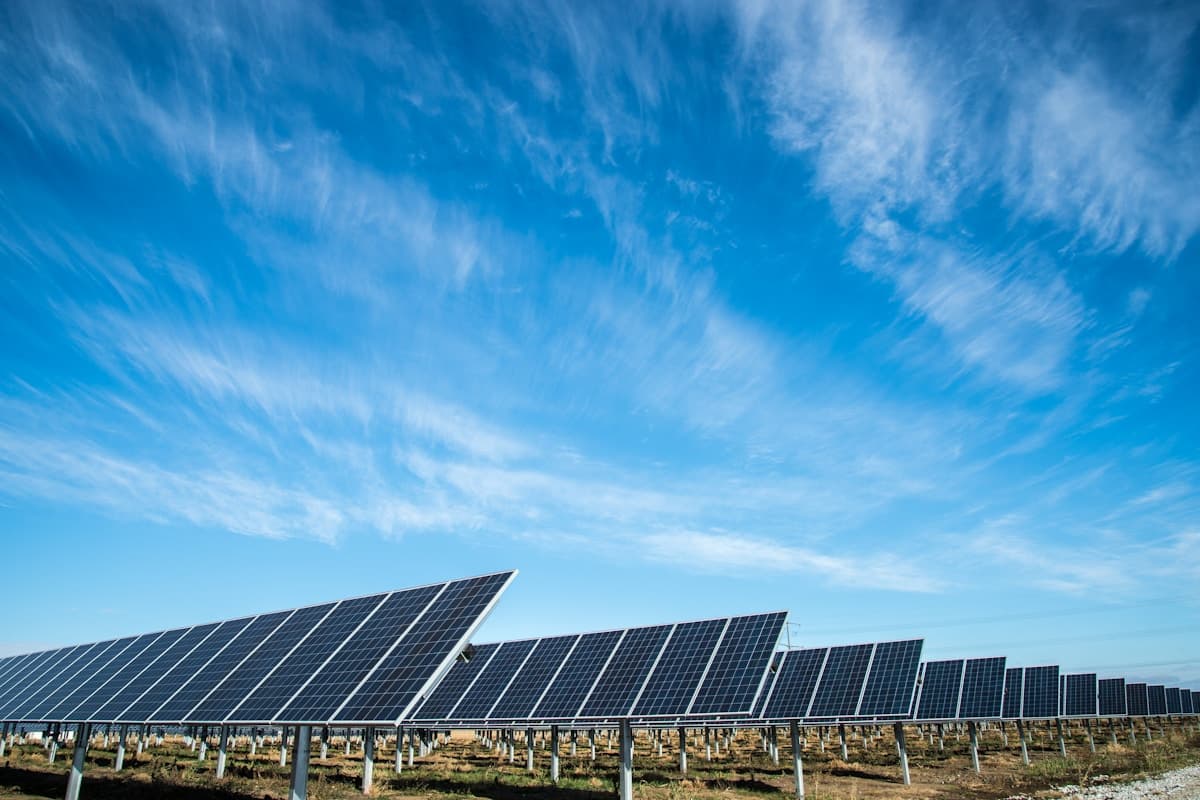Solar panels in a field at golden hour